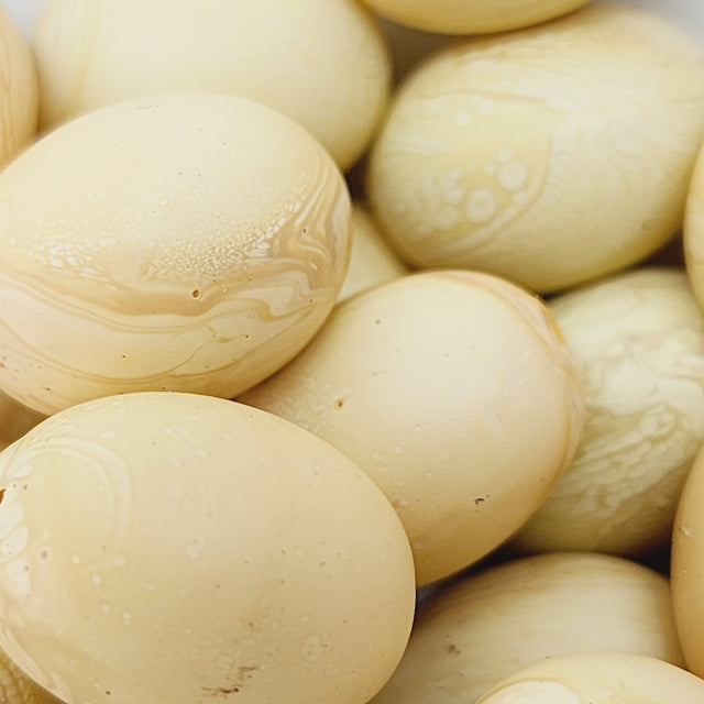 Close-up of marble finish wood look beads with a central hole.