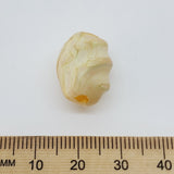 marbled surface beige bead with a ruler to show scale on a white background