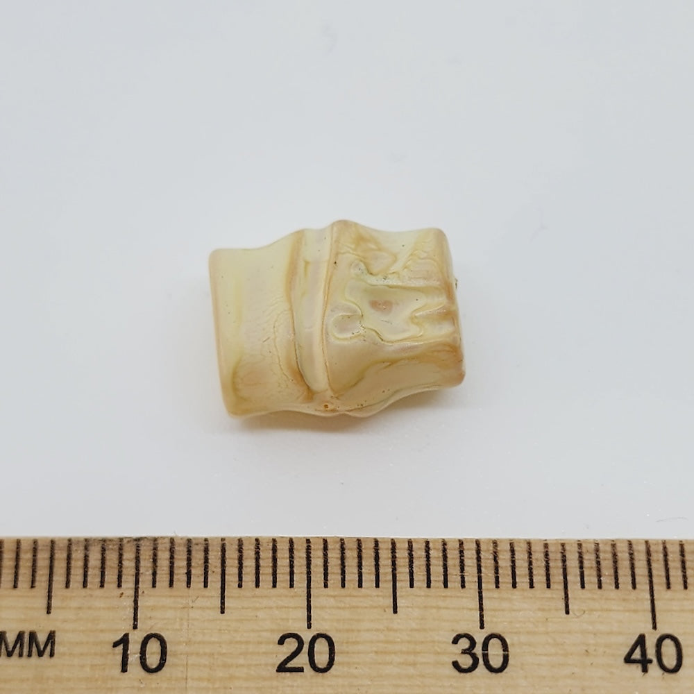 bamboo look cream bead on a white background with a ruler to show the size