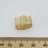 bamboo look cream bead on a white background with a ruler to show the size