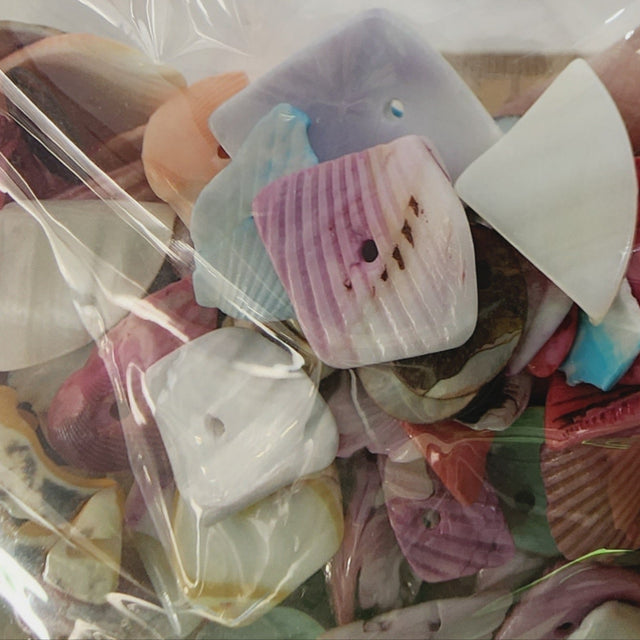 Shell Chips Strands Shell Chips (100 grams) - Colourful – Bead Shack