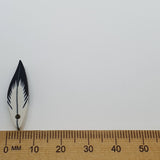Small feather-shaped bead next to a wooden ruler on a white background
