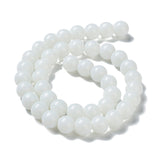 8mm (50) - White Opaque - Round Glass Bead