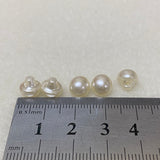 Five pearl buttons on a ruler for scale measurement.