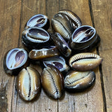 Cowrie CUT Shells (100 grams) - Black/Brown & Purple