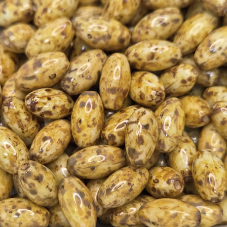 Close-up of a pile of brownish-golden cylindrical beads with dark spots.