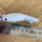 Small Fish (1) - White - Nautical Wood Craft Decoration - Bead Shack