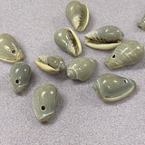 Cone Shells (100 grams) - Greenish Grey