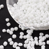 White - 6/0 Opaque (50g) - Seed Beads